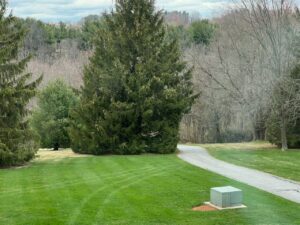 Lawn partially fertilized in Fawn Grove, PA